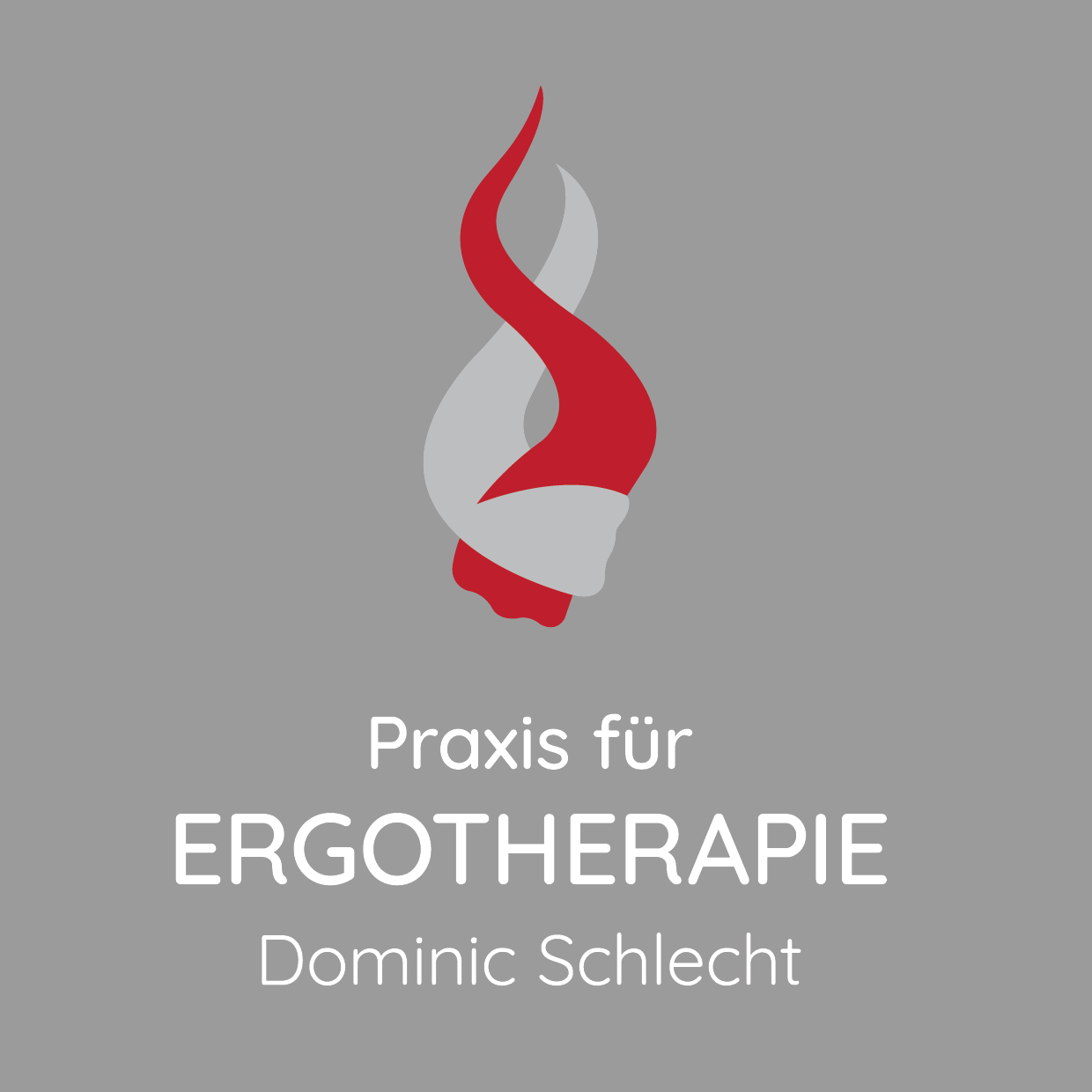 Ergotherapie Dominic Schlecht